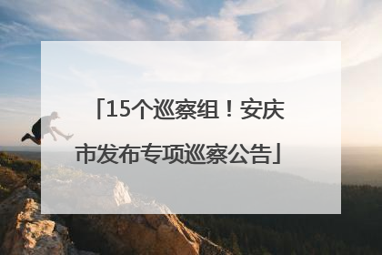 15个巡察组！安庆市发布专项巡察公告