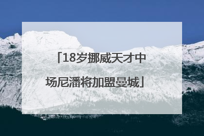 18岁挪威天才中场尼潘将加盟曼城
