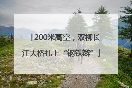 200米高空，双柳长江大桥扎上“钢铁辫”