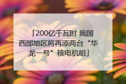 200亿千瓦时 我国西部地区将再添两台“华龙一号”核电机组
