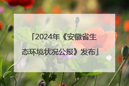2024年《安徽省生态环境状况公报》发布