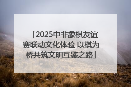 2025中非象棋友谊赛联动文化体验 以棋为桥共筑文明互鉴之路