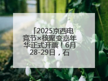 2025京西电竞节×核聚变嘉年华正式开票！6月28-29日，石景山首钢园见