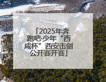 2025年奔跑吧·少年“西咸杯”西安击剑公开赛开赛