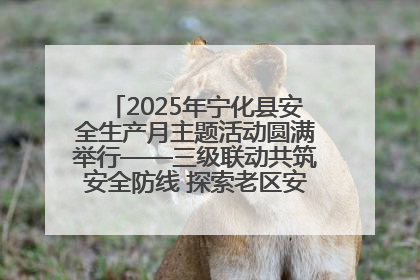 2025年宁化县安全生产月主题活动圆满举行——三级联动共筑安全防线 探索老区安全发展新路径