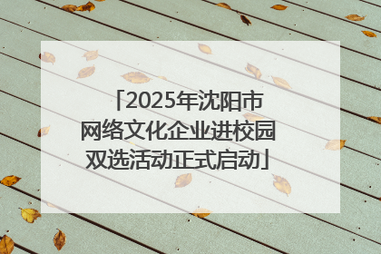 2025年沈阳市网络文化企业进校园双选活动正式启动
