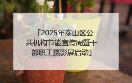 2025年泰山区公共机构节能宣传周暨干部职工摄影展启动