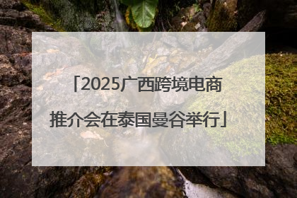2025广西跨境电商推介会在泰国曼谷举行