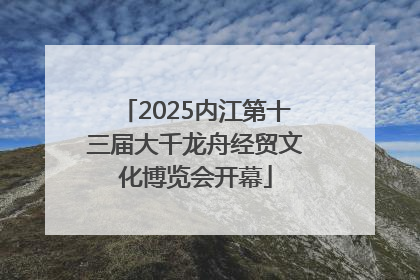2025内江第十三届大千龙舟经贸文化博览会开幕