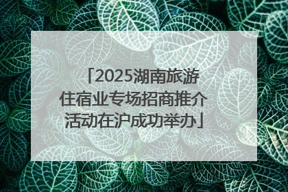 2025湖南旅游住宿业专场招商推介活动在沪成功举办