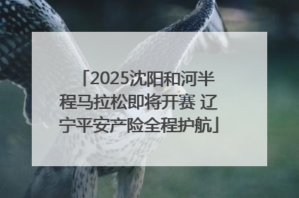 2025沈阳和河半程马拉松即将开赛 辽宁平安产险全程护航