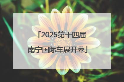 2025第十四届南宁国际车展开幕