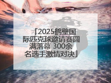 2025鹤壁国际匹克球邀请赛圆满落幕 300余名选手激情对决