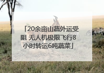20余亩山蔬外运受阻 无人机极限飞行8小时转运6吨蔬菜