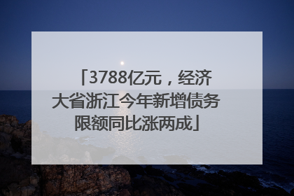 3788亿元，经济大省浙江今年新增债务限额同比涨两成