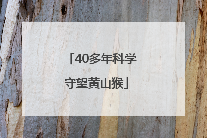 40多年科学守望黄山猴