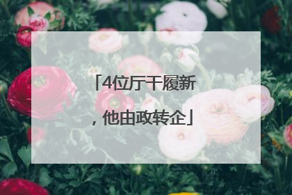 4位厅干履新，他由政转企
