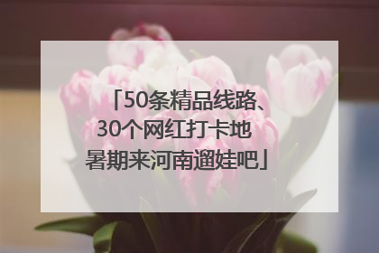 50条精品线路、30个网红打卡地 暑期来河南遛娃吧
