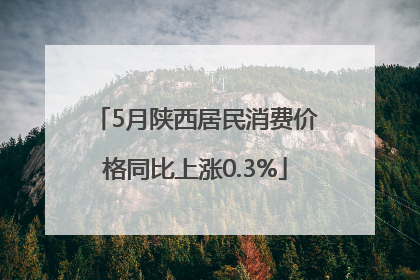 5月陕西居民消费价格同比上涨0.3%