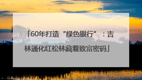 60年打造“绿色银行”：吉林通化红松林藏着致富密码