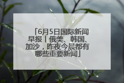 6月5日国际新闻早报丨俄美、韩国、加沙，昨夜今晨都有哪些重要新闻