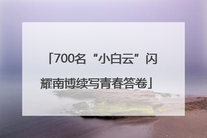 700名“小白云”闪耀南博续写青春答卷