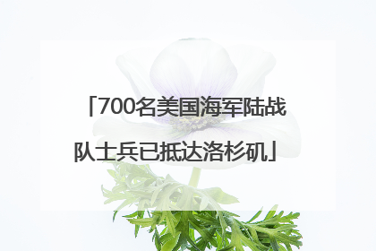 700名美国海军陆战队士兵已抵达洛杉矶