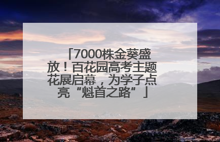 7000株金葵盛放！百花园高考主题花展启幕，为学子点亮“魁首之路”