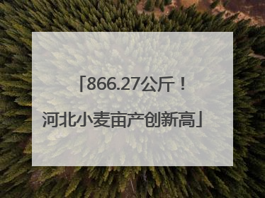866.27公斤！河北小麦亩产创新高