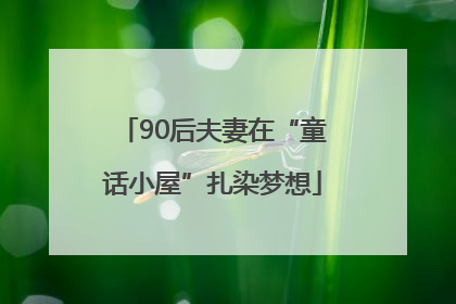 90后夫妻在“童话小屋”扎染梦想