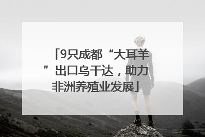 9只成都“大耳羊”出口乌干达，助力非洲养殖业发展