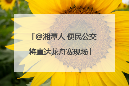 @湘潭人 便民公交将直达龙舟赛现场