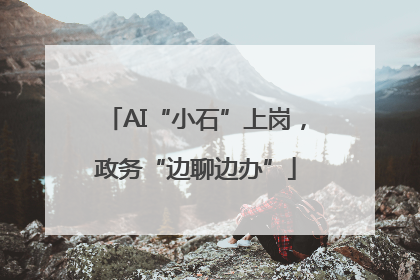 AI“小石”上岗，政务“边聊边办”