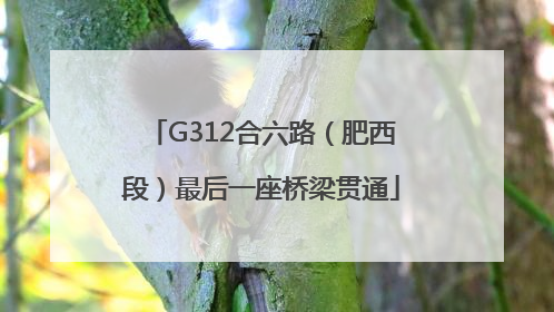G312合六路（肥西段）最后一座桥梁贯通