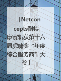 Netconcepts耐特康赛斩获第十六届虎啸奖“年度综合服务商”大奖